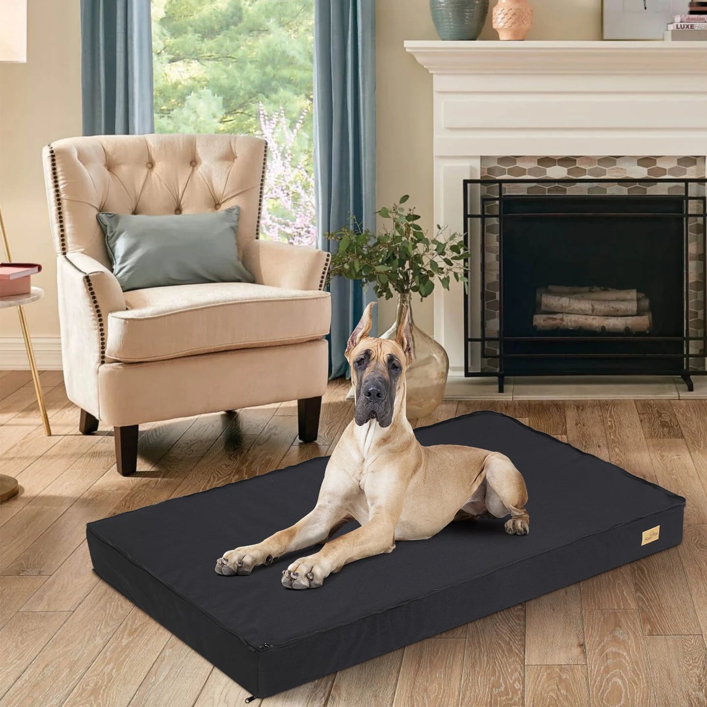 Washable Dog Beds for Large Dogs Orthopedic Sponge Foam Bed - Jimmys Supplies