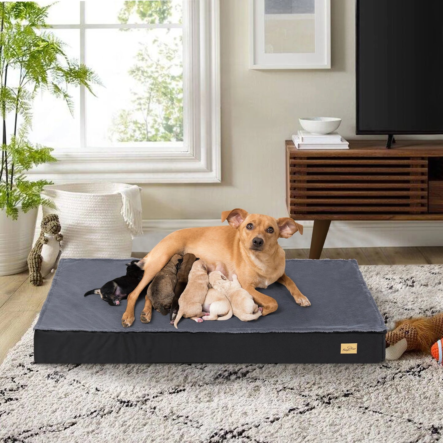 Washable Dog Beds for Large Dogs Orthopedic Sponge Foam Bed - Jimmys Supplies