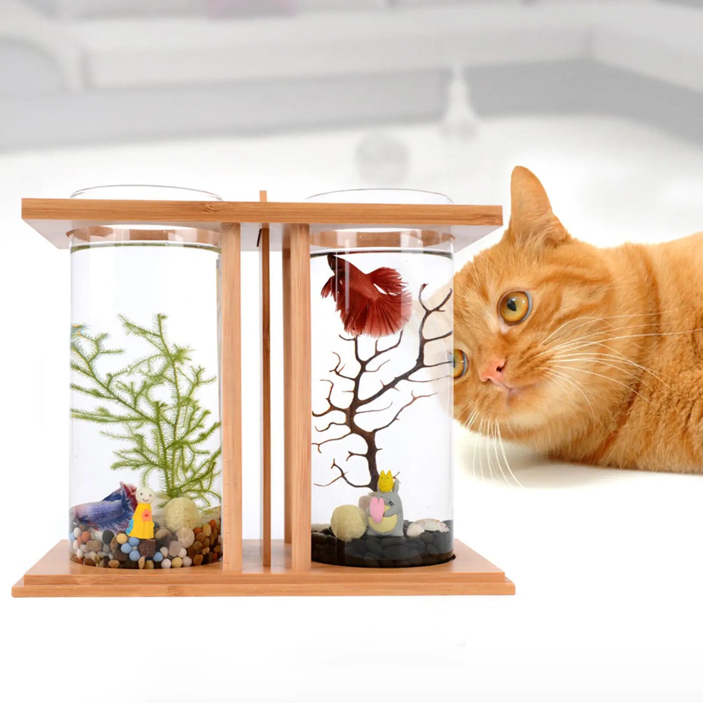 Glass Betta Fish Tank Bamboo Base Mini Aquarium For Desktop - Jimmys Supplies