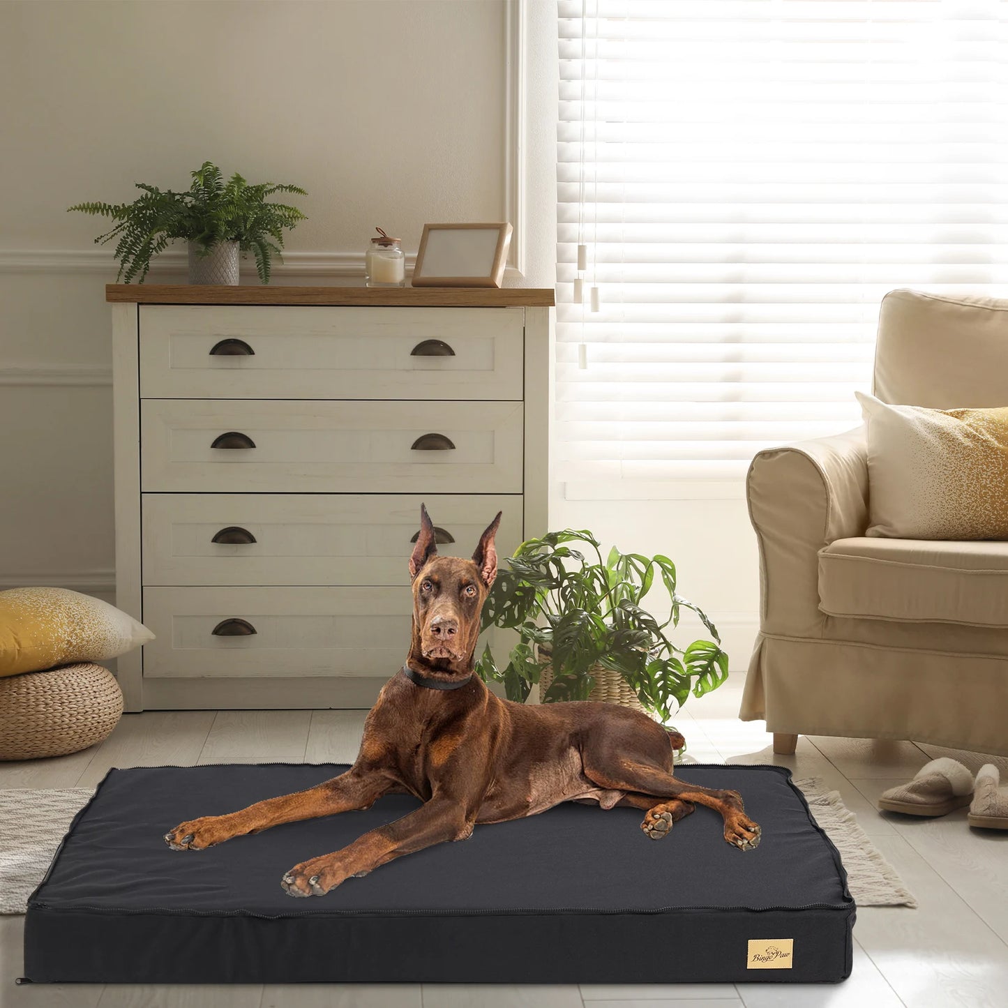 Washable Dog Beds for Large Dogs Orthopedic Sponge Foam Bed - Jimmys Supplies