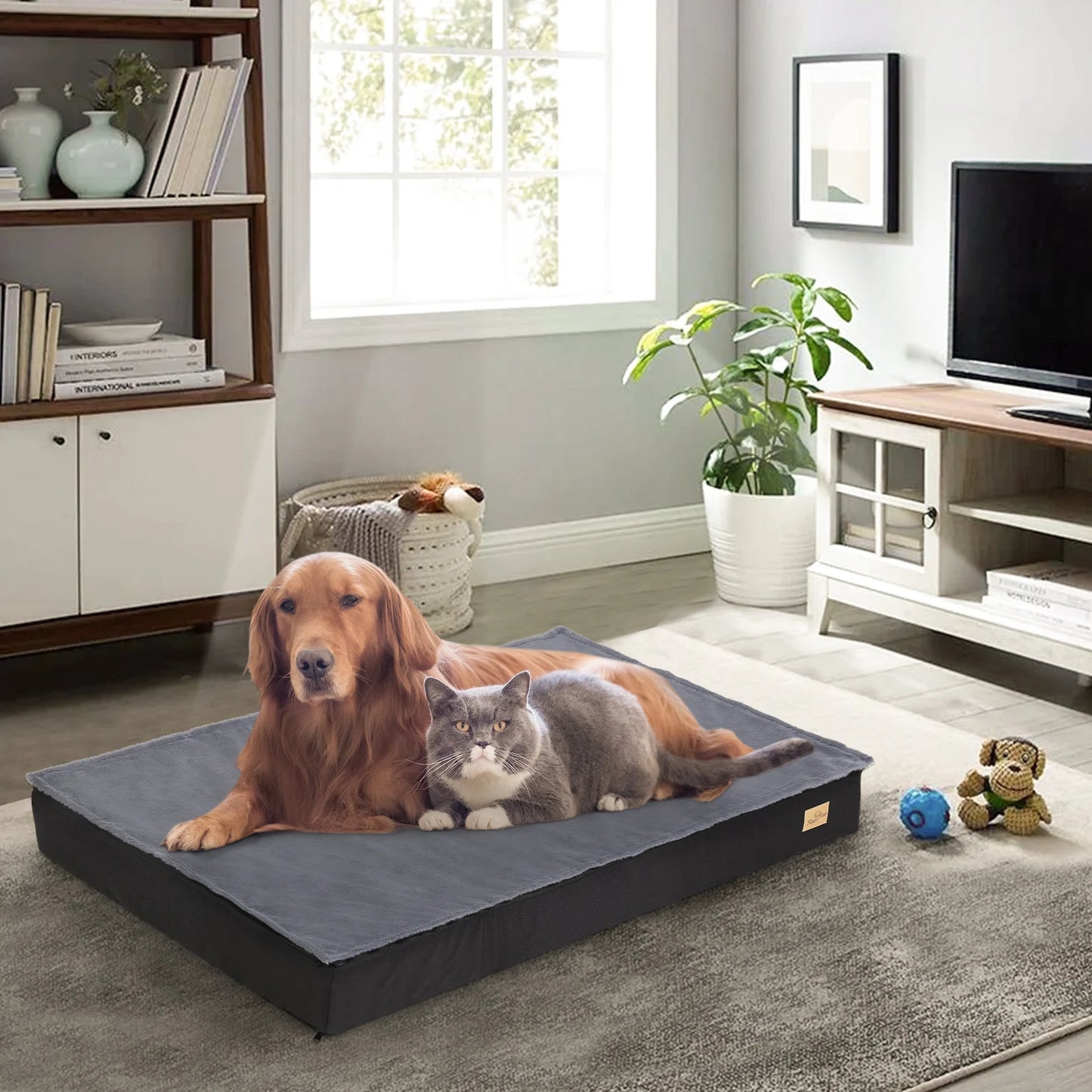 Washable Dog Beds for Large Dogs Orthopedic Sponge Foam Bed - Jimmys Supplies