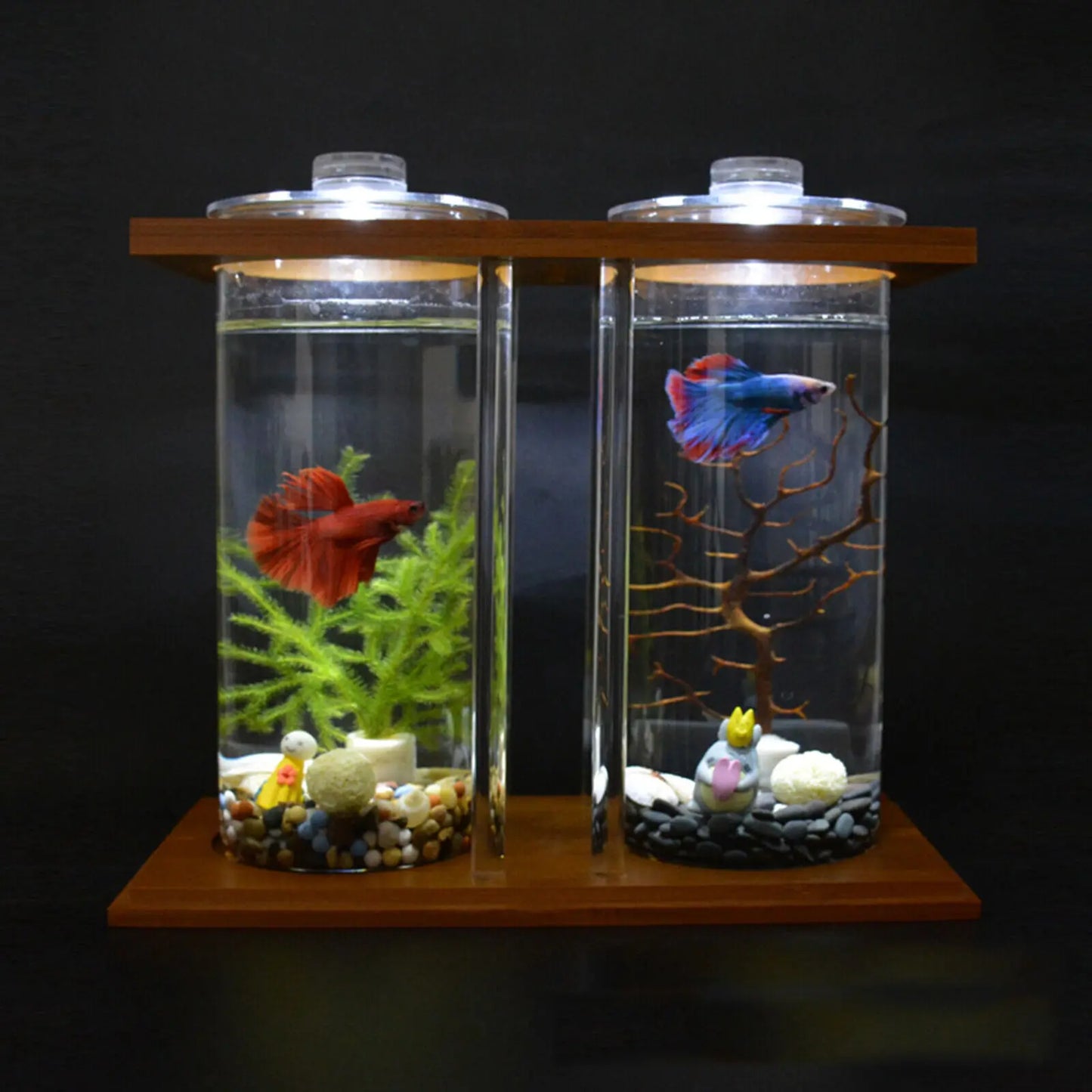 Glass Betta Fish Tank Bamboo Base Mini Aquarium For Desktop - Jimmys Supplies