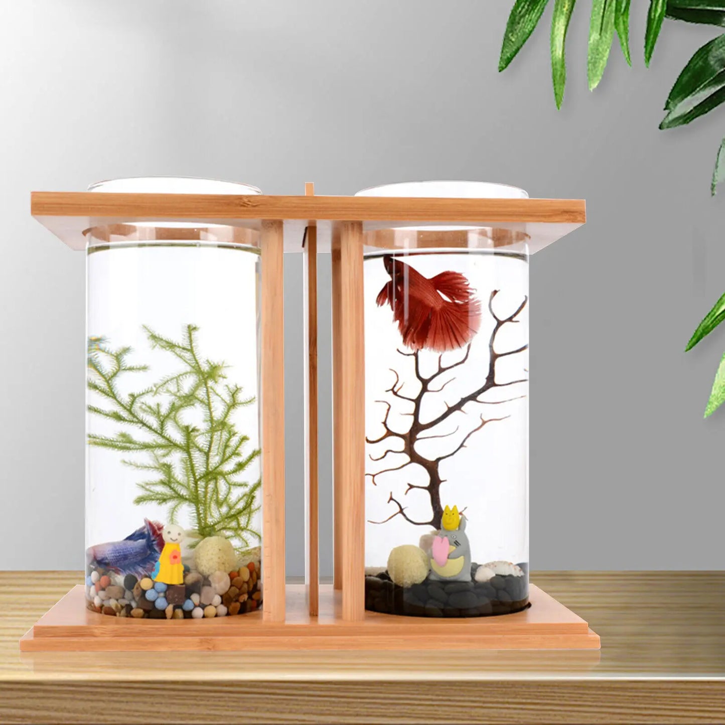 Glass Betta Fish Tank Bamboo Base Mini Aquarium For Desktop - Jimmys Supplies