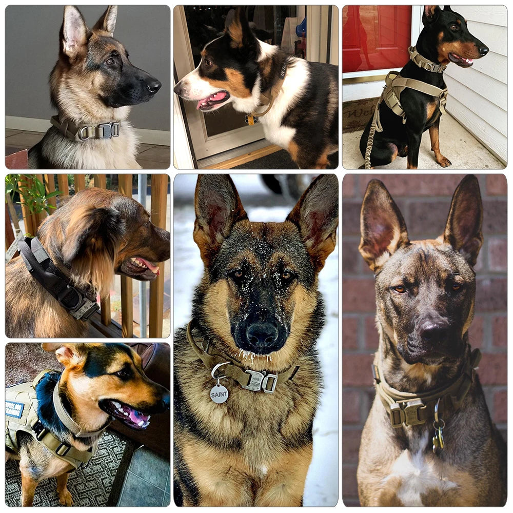 Dog Training Collar Adjustable Tactical Dog Collar And Leash Set Control Handle Pet Lead Collar - Jimmys Supplies