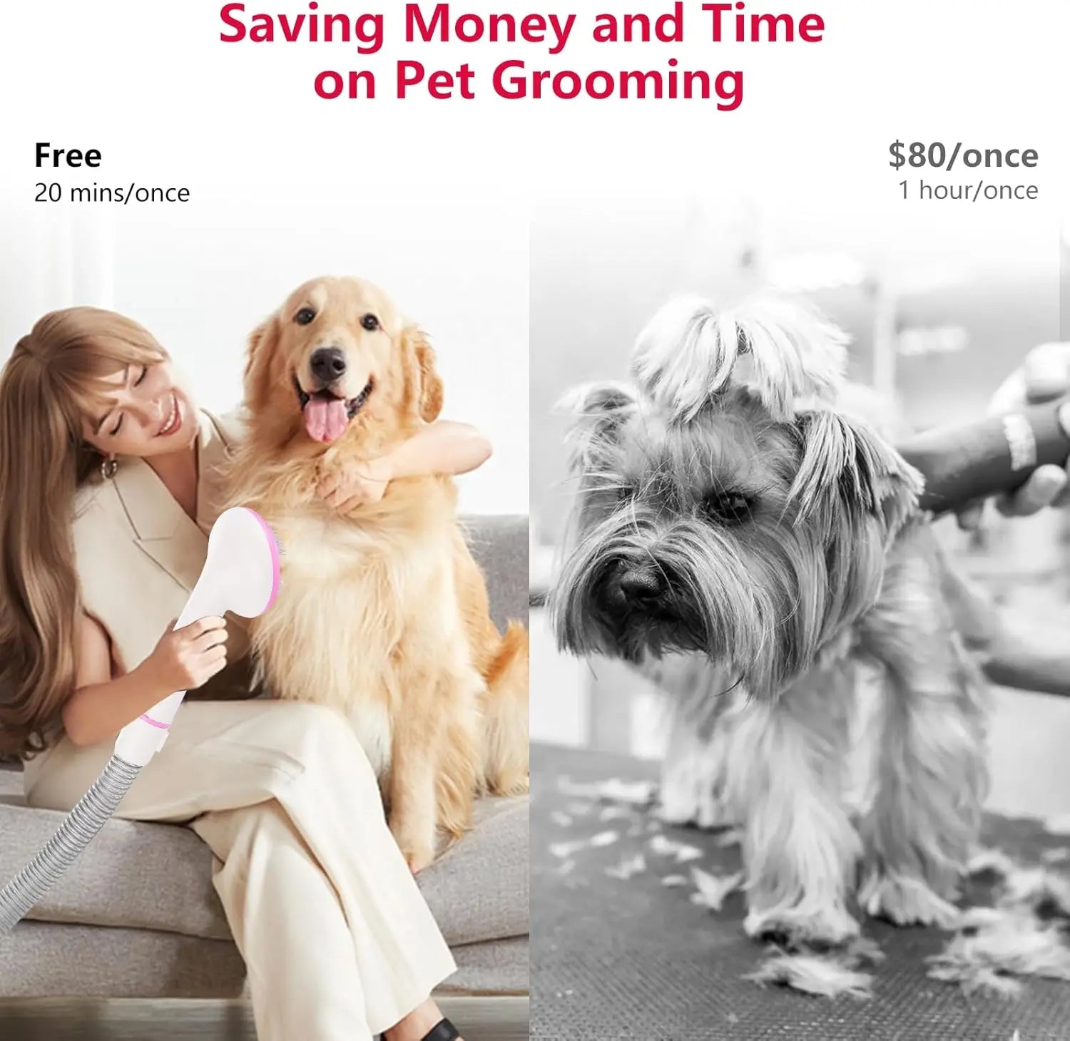 Pet Grooming Vacuum, Multi-Functional Dog Hair Groomer - Jimmys Supplies