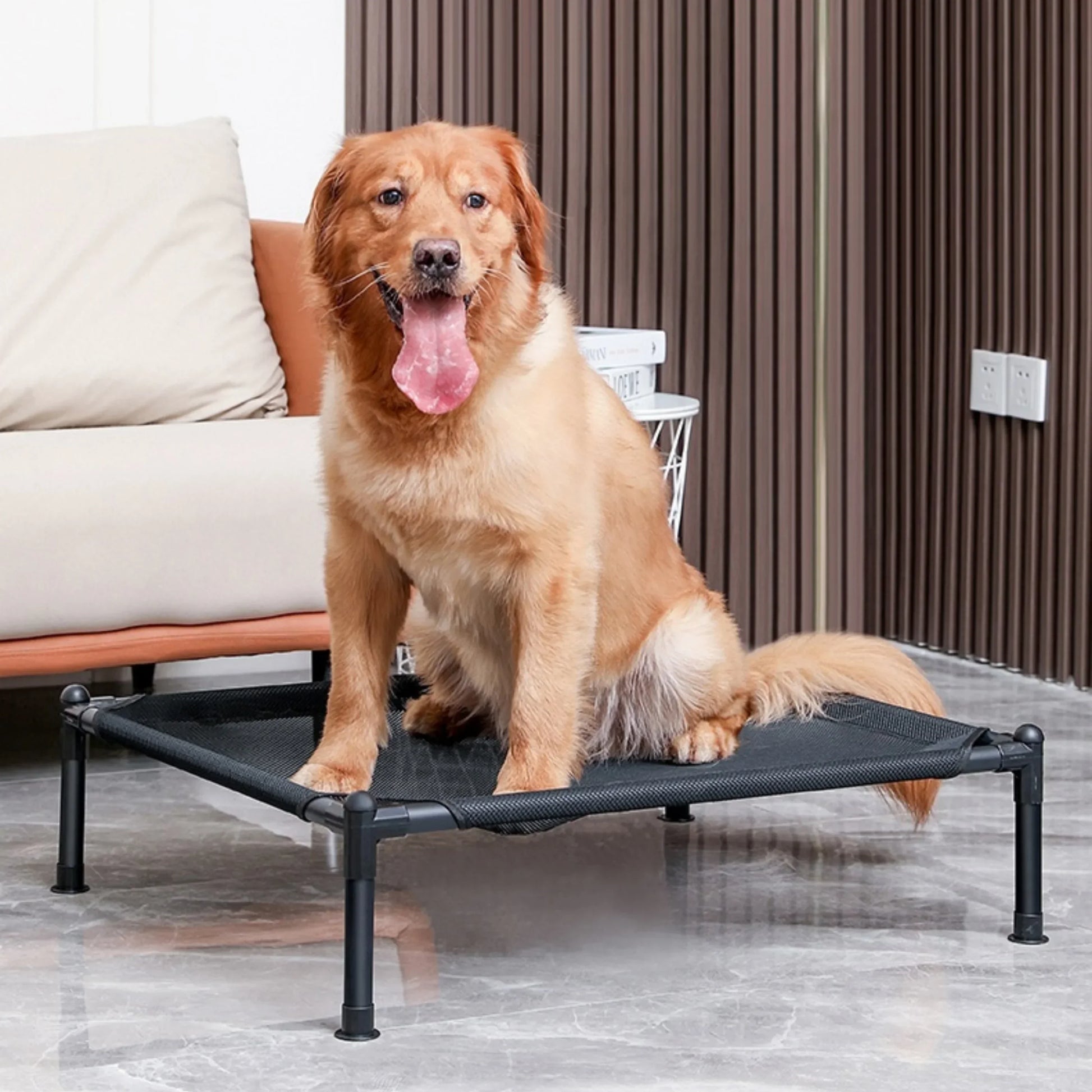 Elevated Pet Bed Dog Cat  Folding Pet Camping Bed Cat Dog House Portable Removable Washable Four Seasons Cats Kennel Puppy Beds - Jimmys Supplies